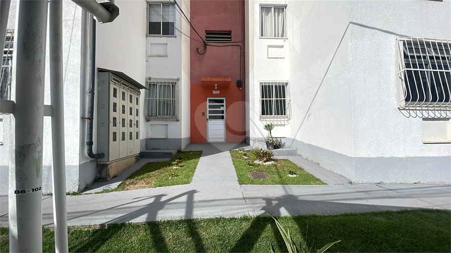 Foto REO1096300