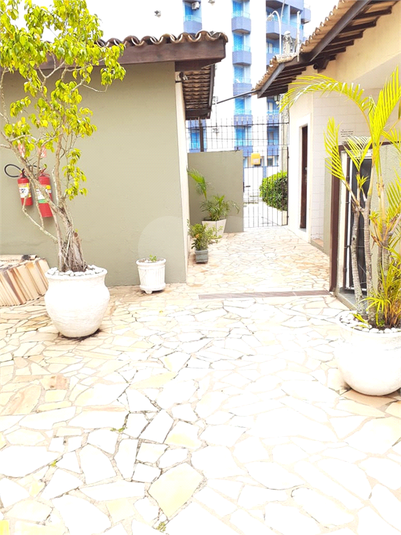 Foto REO1096309