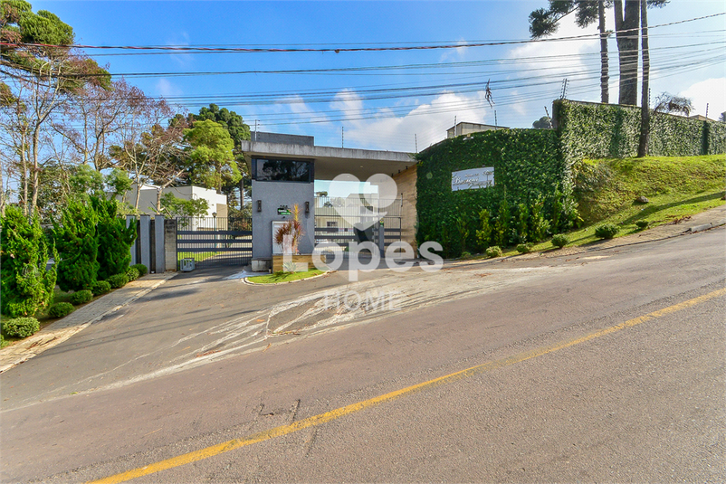Foto REO1096313