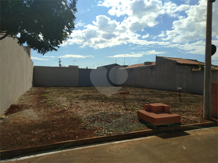 Foto REO1096314