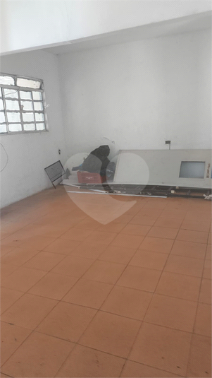Foto REO1096321
