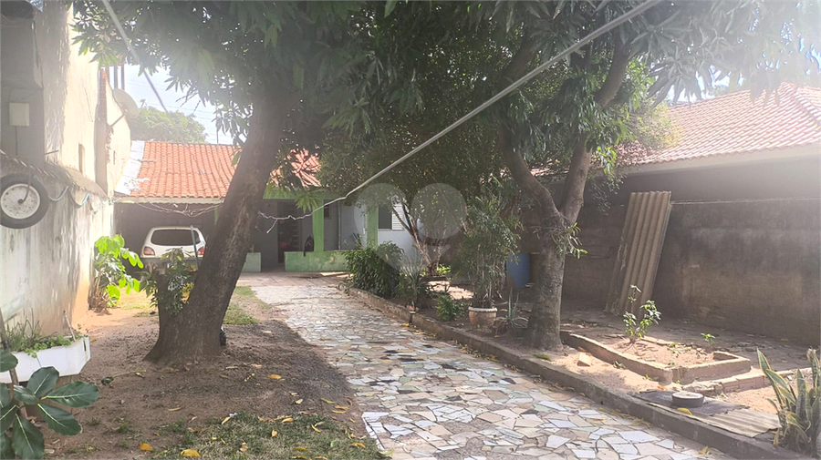 Foto REO1096321