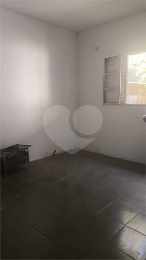 Foto REO1096321