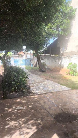 Foto REO1096321