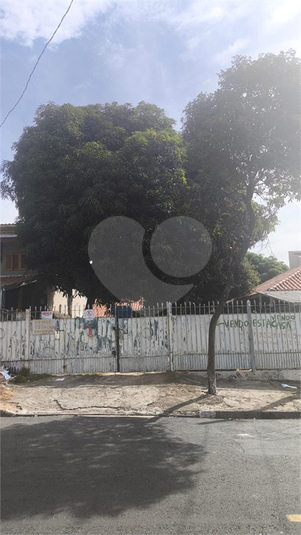 Foto REO1096321