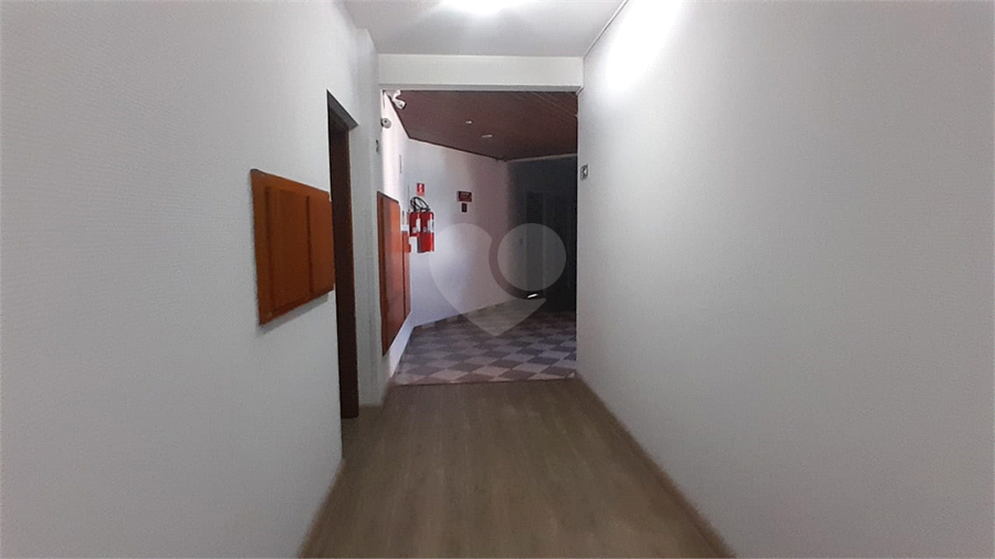Foto REO1096326