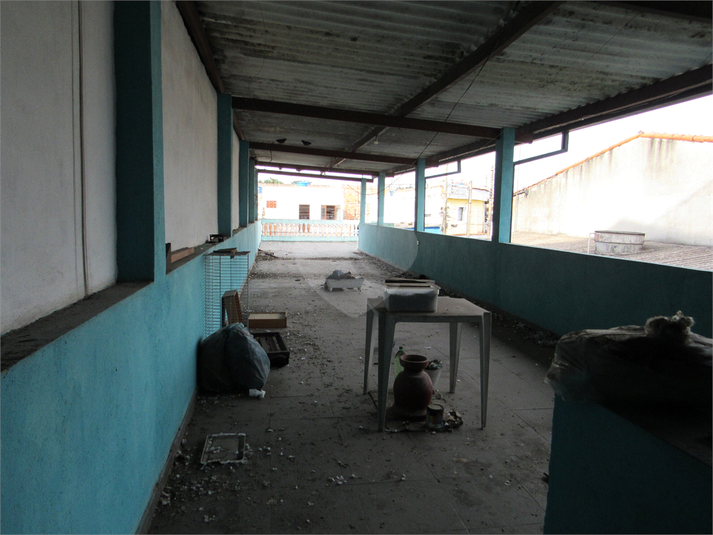 Foto REO1096335