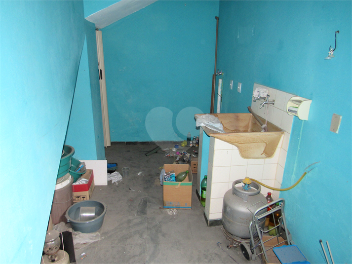 Foto REO1096335