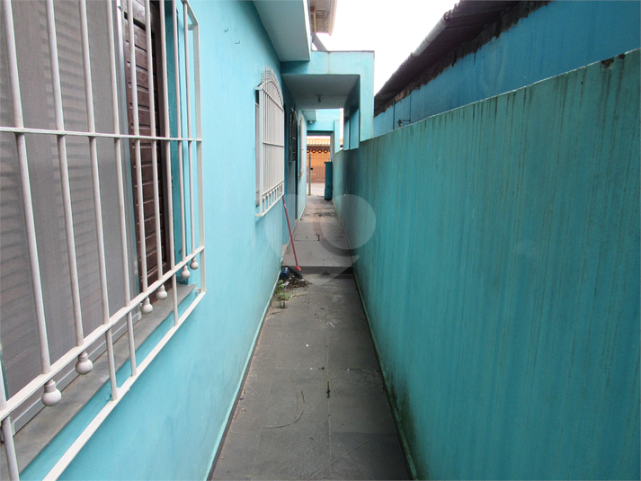 Foto REO1096335