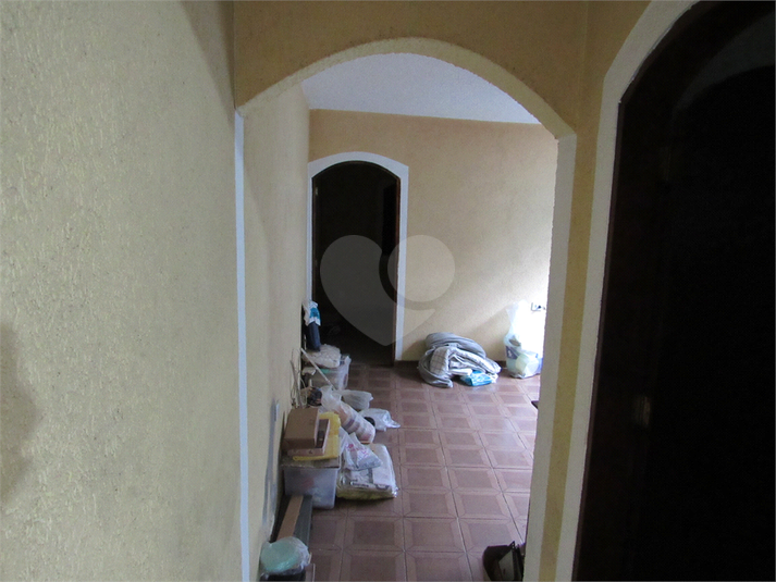 Foto REO1096335