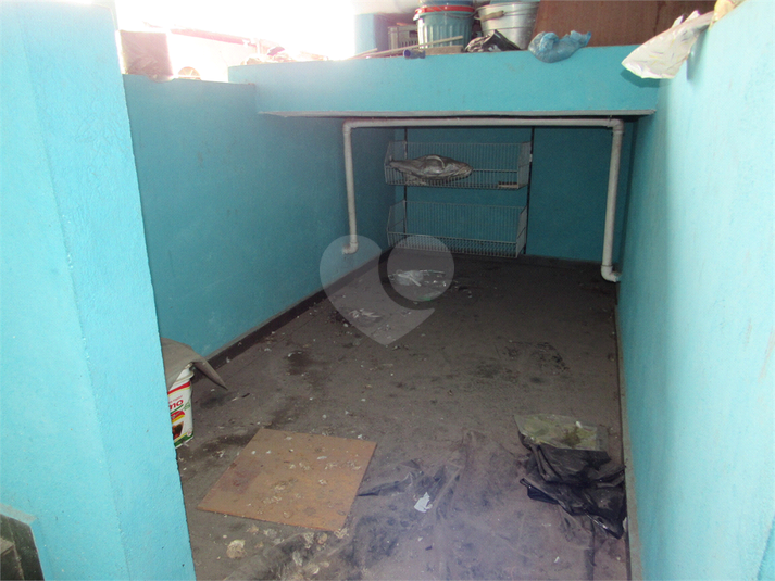 Foto REO1096335