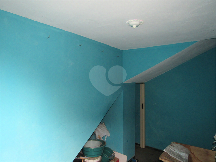 Foto REO1096335