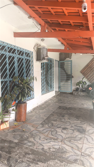 Foto REO1096342