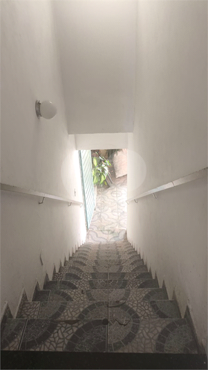 Foto REO1096342