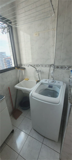 Foto REO1096350