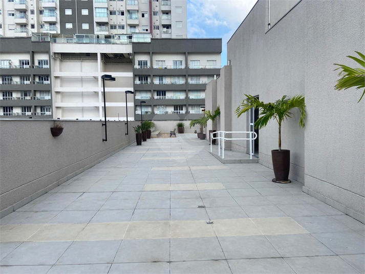 Foto REO1096360
