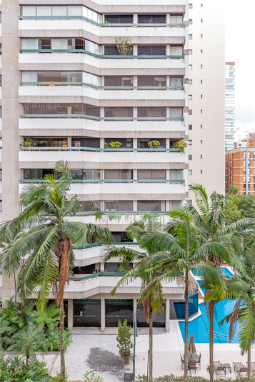 Foto REO1096361