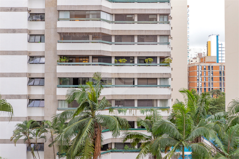 Foto REO1096361