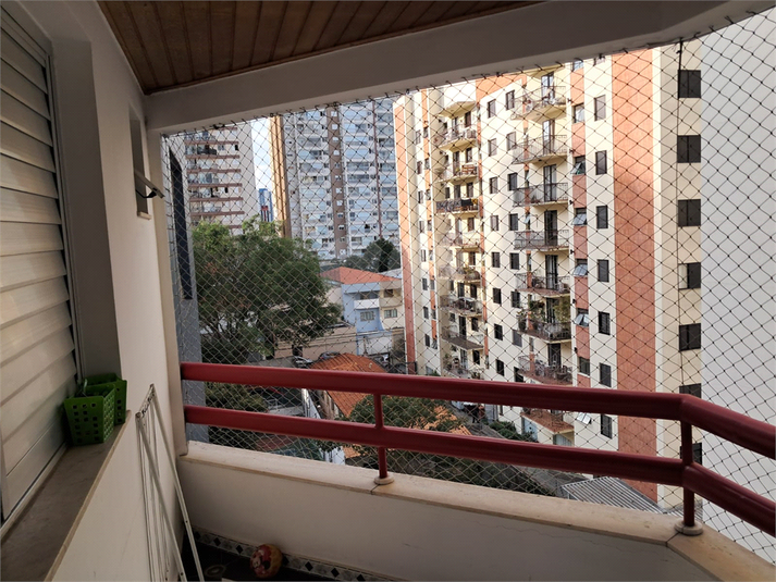 Foto REO1096367
