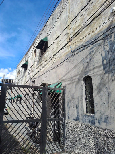 Foto REO1096377