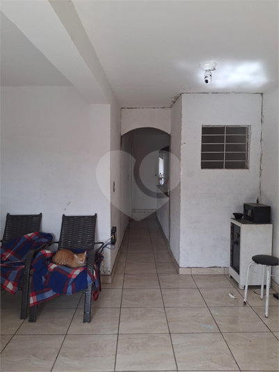 Foto REO1096377