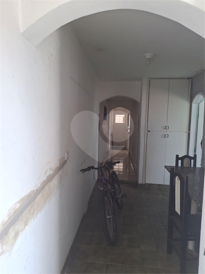 Foto REO1096377