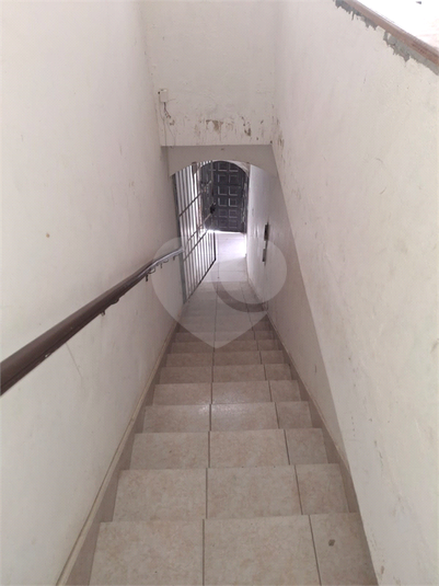 Foto REO1096377
