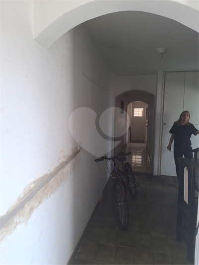 Foto REO1096377