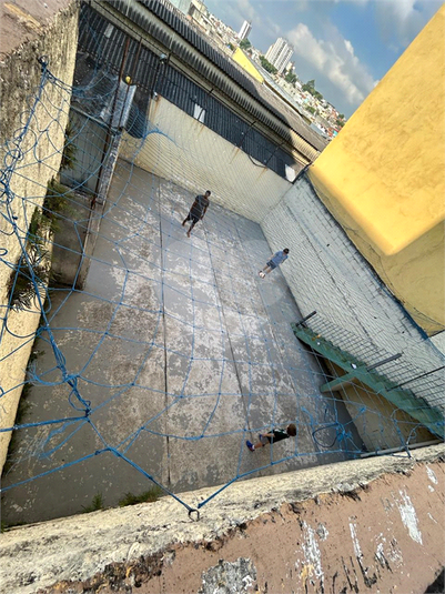 Foto REO1096385