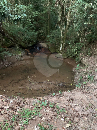 Foto REO1096390