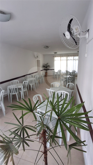 Foto REO1096392