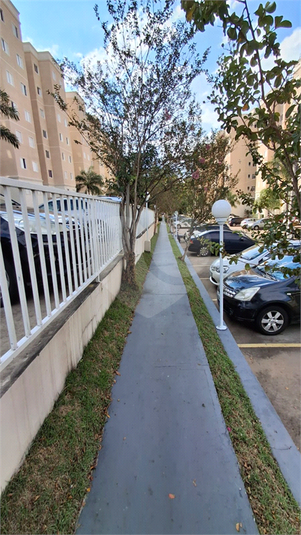 Foto REO1096392