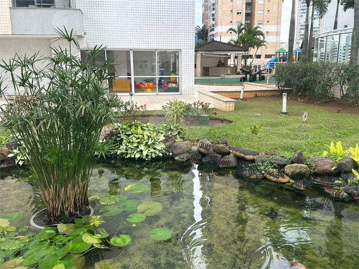 Foto REO1096415
