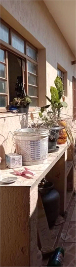Foto REO1096416