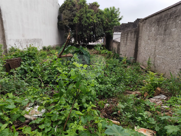Foto REO1096422