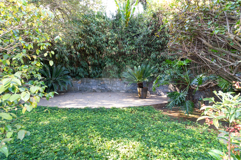 Foto REO1096429