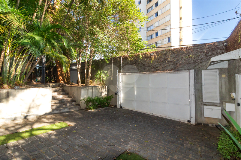 Foto REO1096429