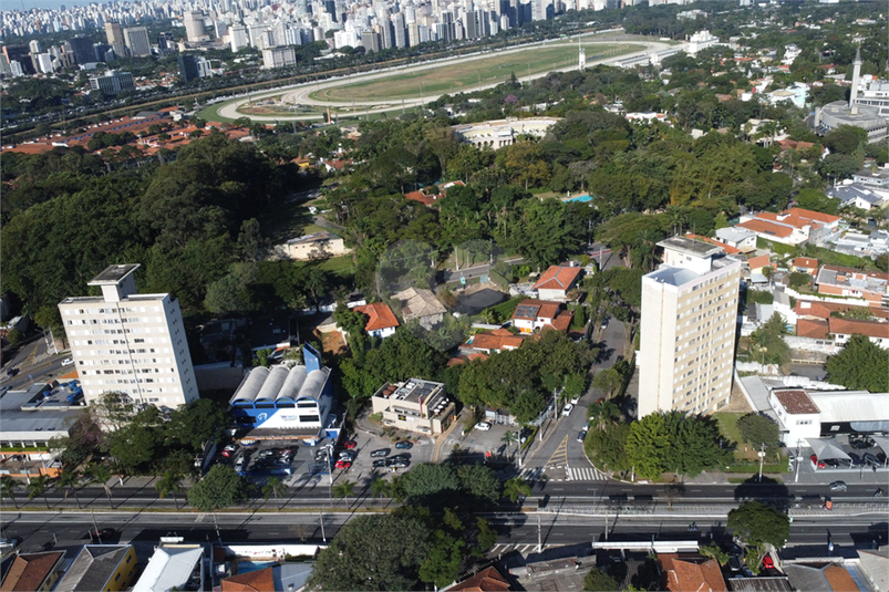 Foto REO1096429