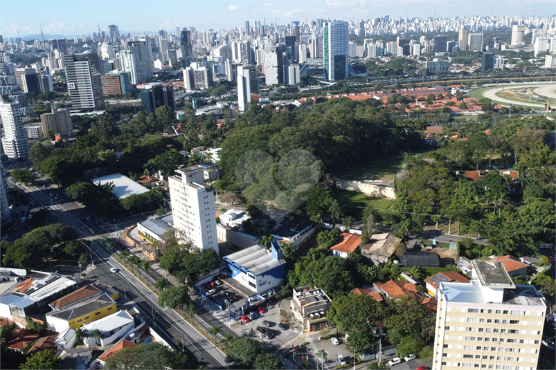 Foto REO1096429