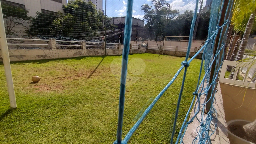 Foto REO1096435
