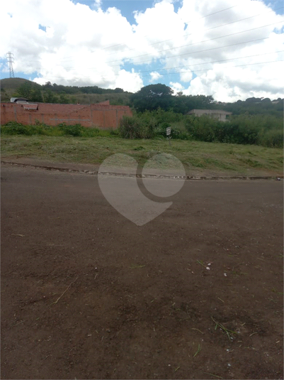 Foto REO1096446