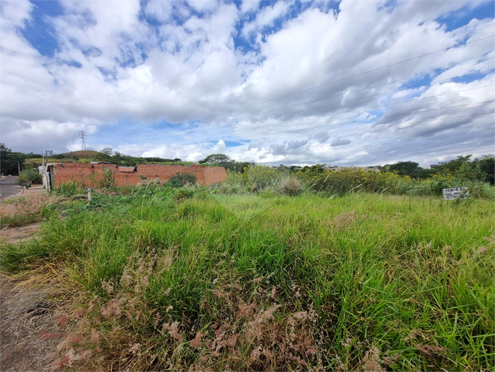 Foto REO1096446