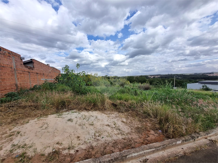 Foto REO1096446