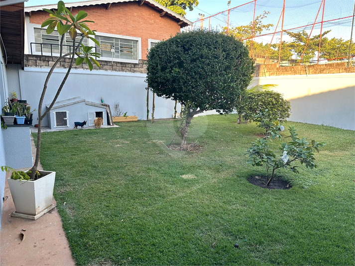 Foto REO1096447