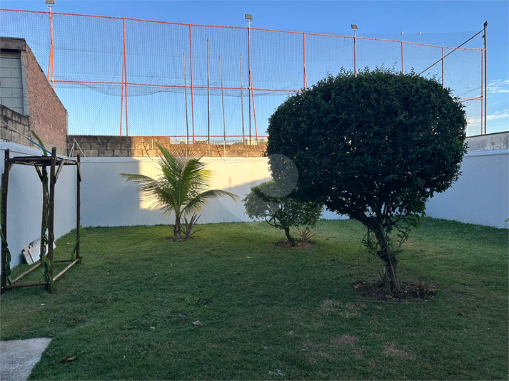 Foto REO1096447