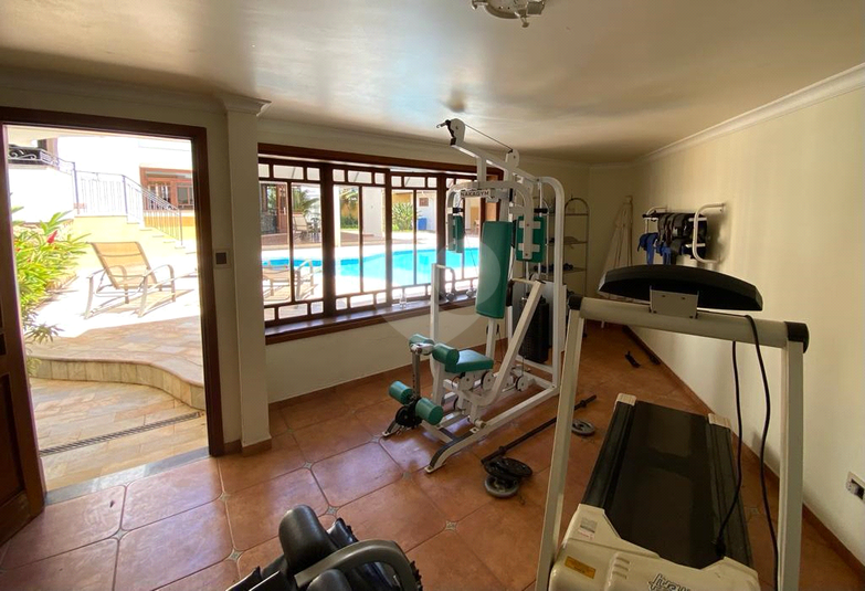 Foto REO1096450