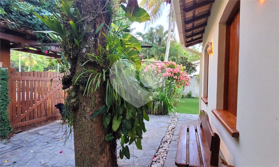 Foto REO1096451