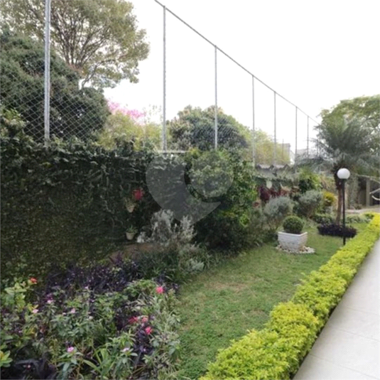 Foto REO1096453