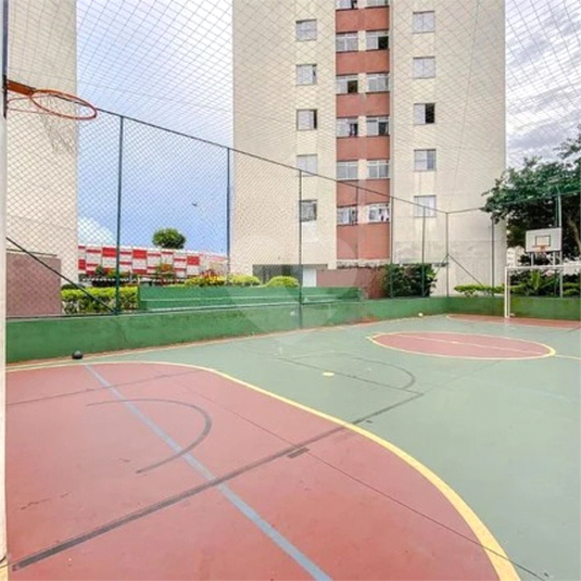 Foto REO1096453