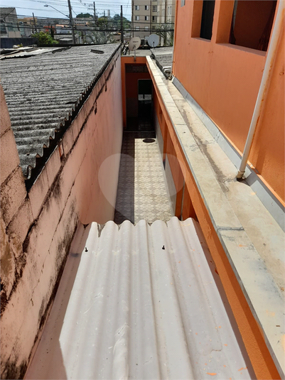 Foto REO1096462